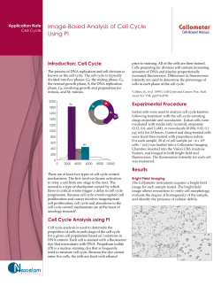 Image-Based Analysis of Cell Cycle Using PI