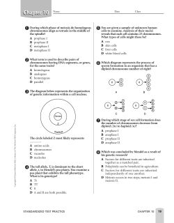 Ch 10 Standards Test Practice