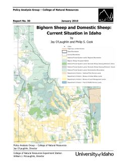 Bighorn Sheep and Domestic Sheep: Current Situation in Idaho