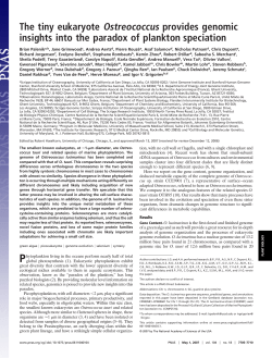 The tiny eukaryote Ostreococcus provides genomic insights into the