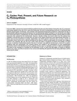 C4 Cycles: Past, Present, and Future Research on C4 Photosynthesis