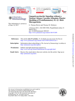 Microparticles Rich &minus;&beta; Shedding of Proinflammatory IL
