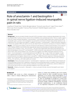Role of anoctamin-1 and bestrophin
