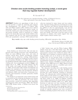 Chicken sine oculis binding protein homolog (sobp), a novel gene