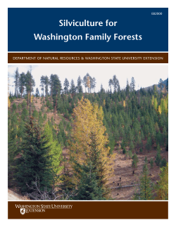 Silviculture for Washington Family Forests