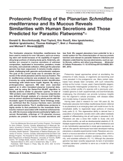 Proteomic Profiling of the Planarian Schmidtea