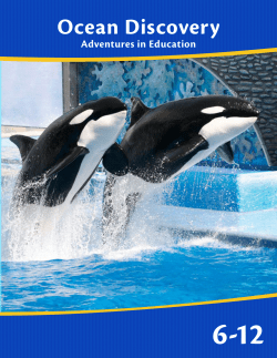 Ocean Discovery: SeaWorld