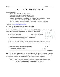 ACTIVITY- Karyotyping and Diagnoses