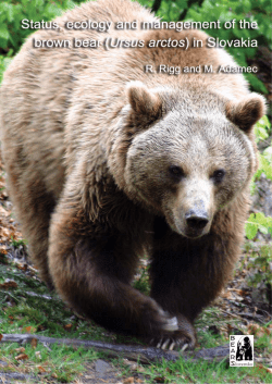 Status, ecology and management of brown bears in Slovakia