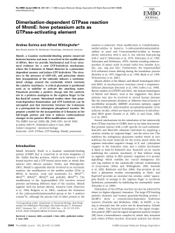 how potassium acts as GTPaseactivating element