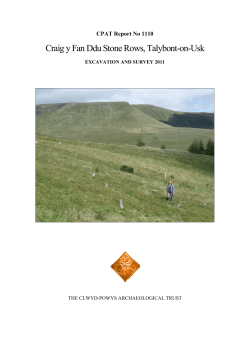 Craig y Fan Ddu Stone Rows, Talybont-on-Usk