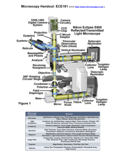 Microscope Handout.