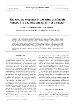 Full text in pdf format