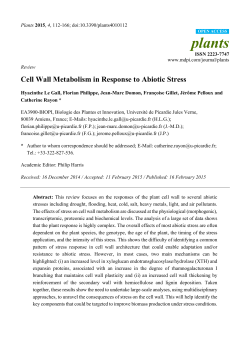 Cell Wall Metabolism in Response to Abiotic Stress