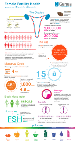 Female fertility infographic_Final