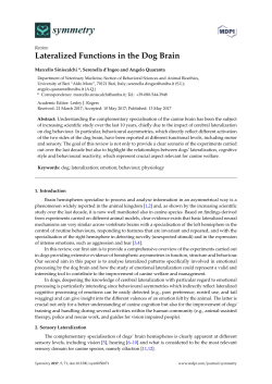 Lateralized Functions in the Dog Brain