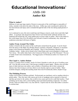 Amber Kit - Educational Innovations