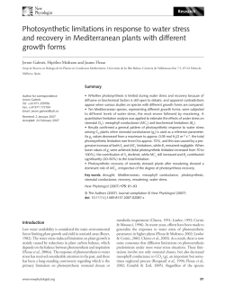 Photosynthetic limitations in response to water stress and recovery