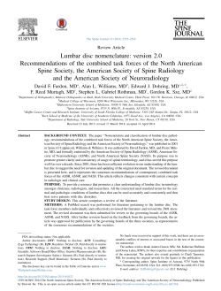 Lumbar disc nomenclature: version 2.0