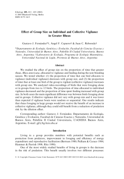Effect of Group Size on Individual and Collective Vigilance in