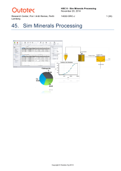 45 Sim Minerals Processing
