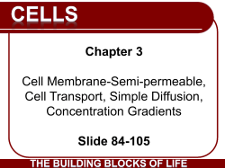 3.07_AP CELLS_Cell Membrane-Semi
