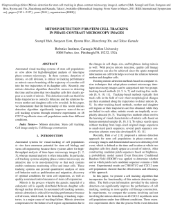 MITOSIS DETECTION FOR STEM CELL TRACKING IN PHASE