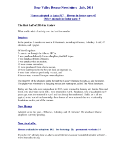 Bear Valley Rescue Newsletter: July, 2014