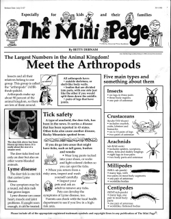 Meet the Arthropods