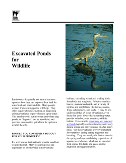 Excavated Ponds for Wildlife
