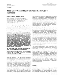 Basal Body Assembly in Ciliates: The Power of