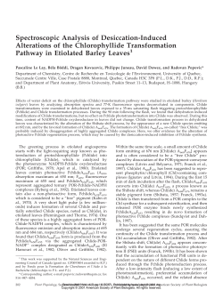 Spectroscopic Analysis of Desiccation-Induced
