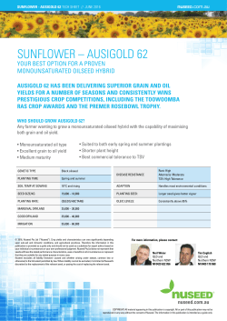 sunflower &ndash; ausigold 62