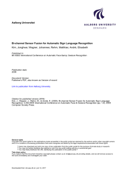 Kim_et_al_2008__Bi-channel sensor fusion for automatic sign