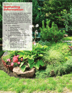 Creating Schoolyard Habitats - National Wildlife Federation