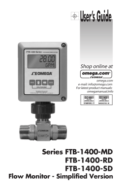 Flow Monitor - Simplified Version