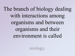 1st Semester Review PDF