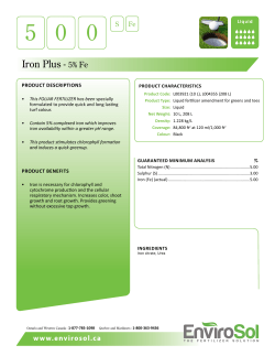Iron Plus - 5% Fe