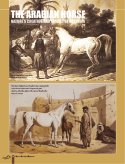 the arabian horse - Desert Heritage Magazine