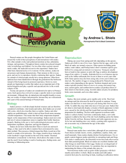 Snakes in Pennsylvania - Fish and Boat Commission