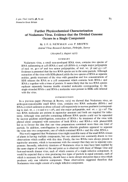 Further Physicochemical Characterization of Nodamura Virus