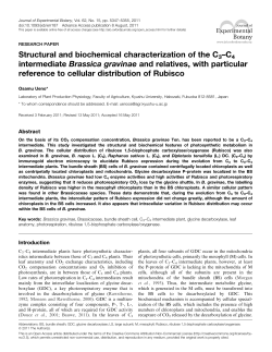 Structural and biochemical characterization of the C3&ndash;C4