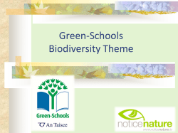 - Green Schools Ireland