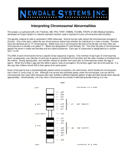 Interpreting Chromosomal Abnormalities