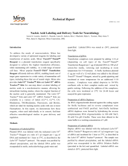 Nucleic Acid Labeling and Delivery Tools for