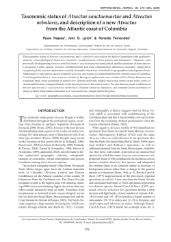 Taxonomic status of Atractus sanctaemartae and Atractus nebularis