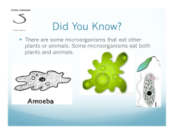Microorganisms like producers, consumers and decomposers.pptx