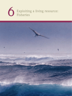 Exploiting a living resource: Fisheries