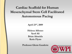 Cardiac Scaffolds for Stem Cell Signaling