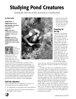 Studying Pond Creatures